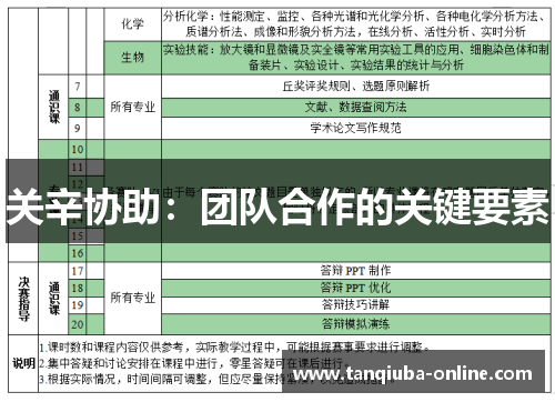 关辛协助:团队合作的关键要素 关辛协助:团队合作的关键要素